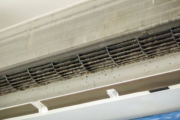 Best Air Duct Sanitizing Services  in Randolph Af, TX